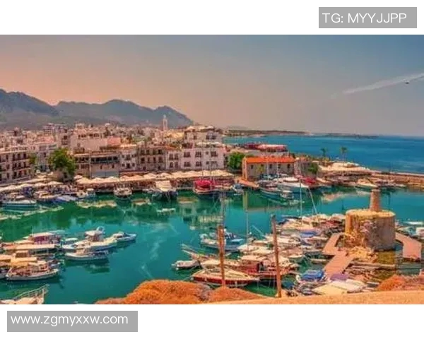 马尔科-查卡莱维奇状态持续火热，球迷喜爱度快速攀升