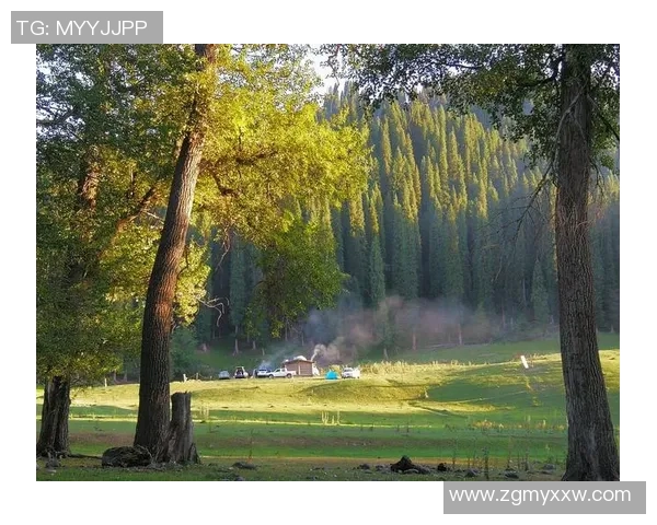 里尔对阵尼姆精彩直播全程回顾与赛后分析尽在这里