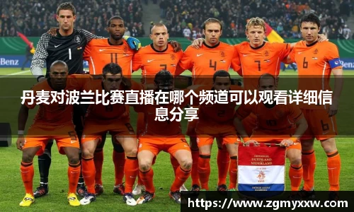 丹麦对波兰比赛直播在哪个频道可以观看详细信息分享